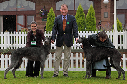 Best Puppy & Best puppy Bitch Houndshow 2009